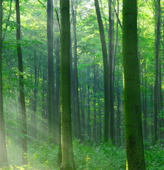 金沙检测线路js95(集团)有限公司官网