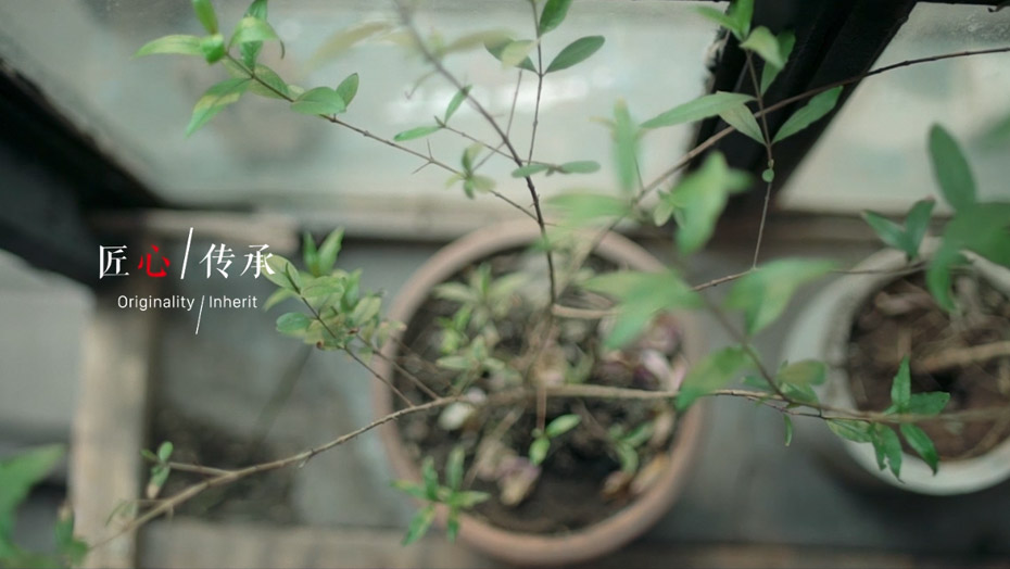 金沙检测线路js95(集团)有限公司官网