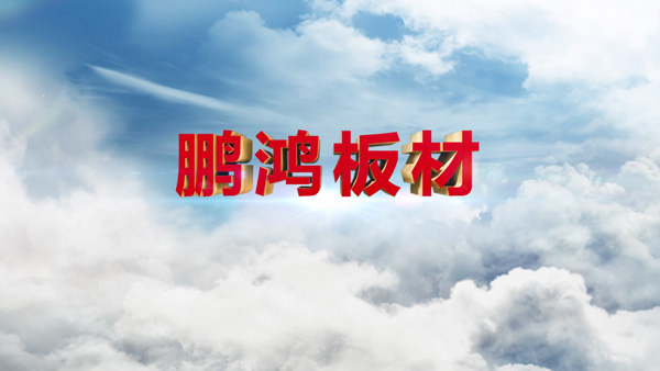 金沙检测线路js95产品纪录片之板材篇